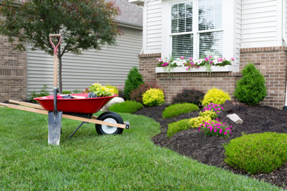 Photo of a wheelbarrow and shovel next to a flowerbed outside a home