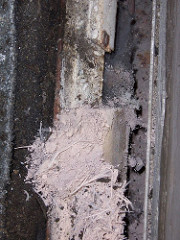 "Asbestos in plaster" by Sarflondondunc on Flickr