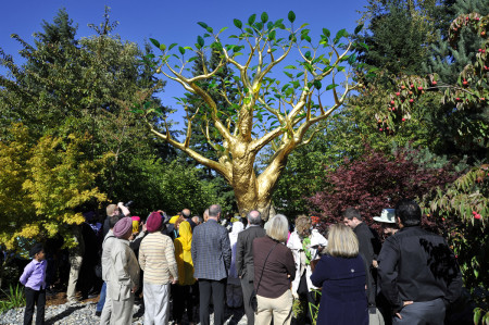 Image from The Golden Tree website