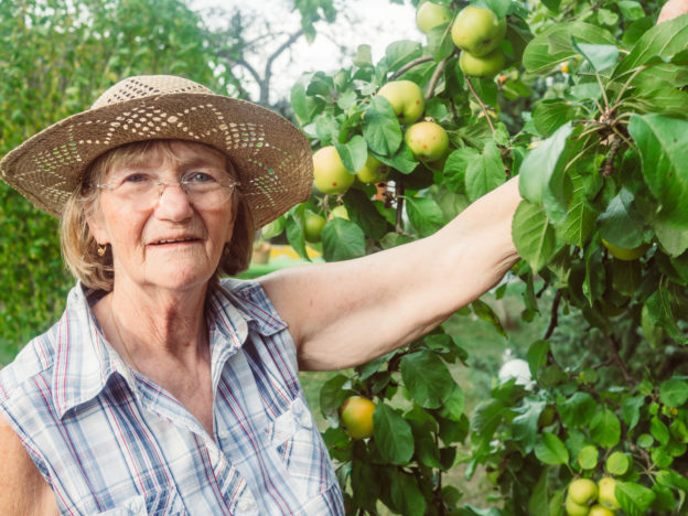Photo of an older woman next to a tree loaded with apples