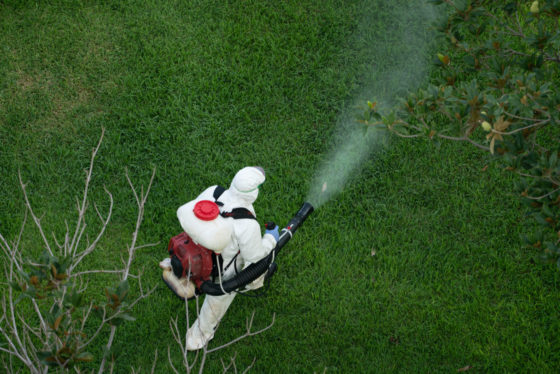Photo of worker wearing white kevlar suit and respirator spraying pesticide onto shrub