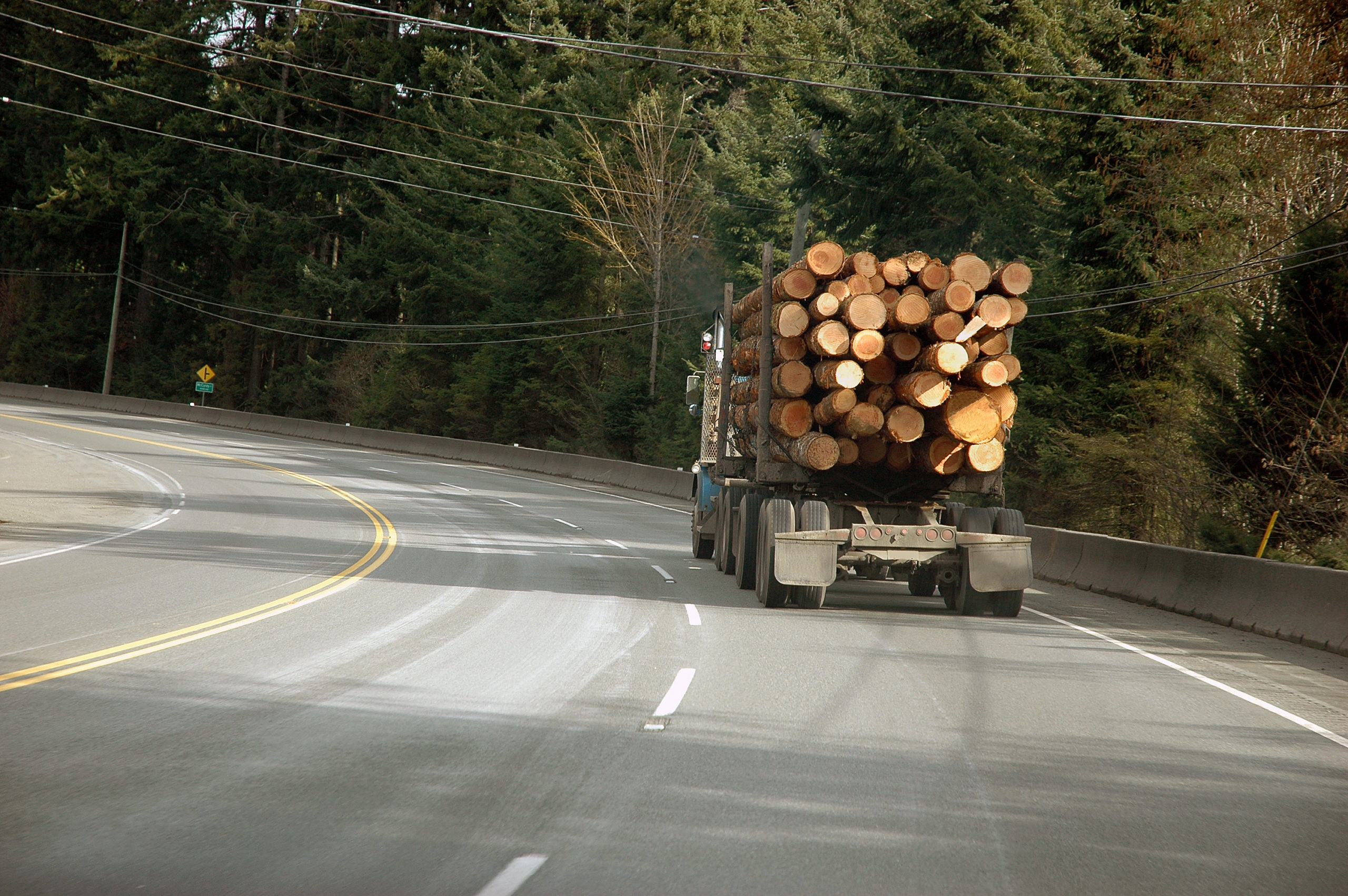 Photo of the back of a loaded logging truck on a highway