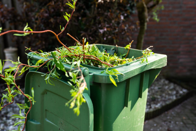Photo of a green bin filled with garden trimmings