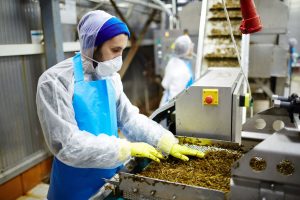 Photo of worker wearing PPE in seaweed salad processing facility.