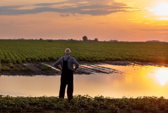 Photo of farmer in overalls standing beside flood area on field.