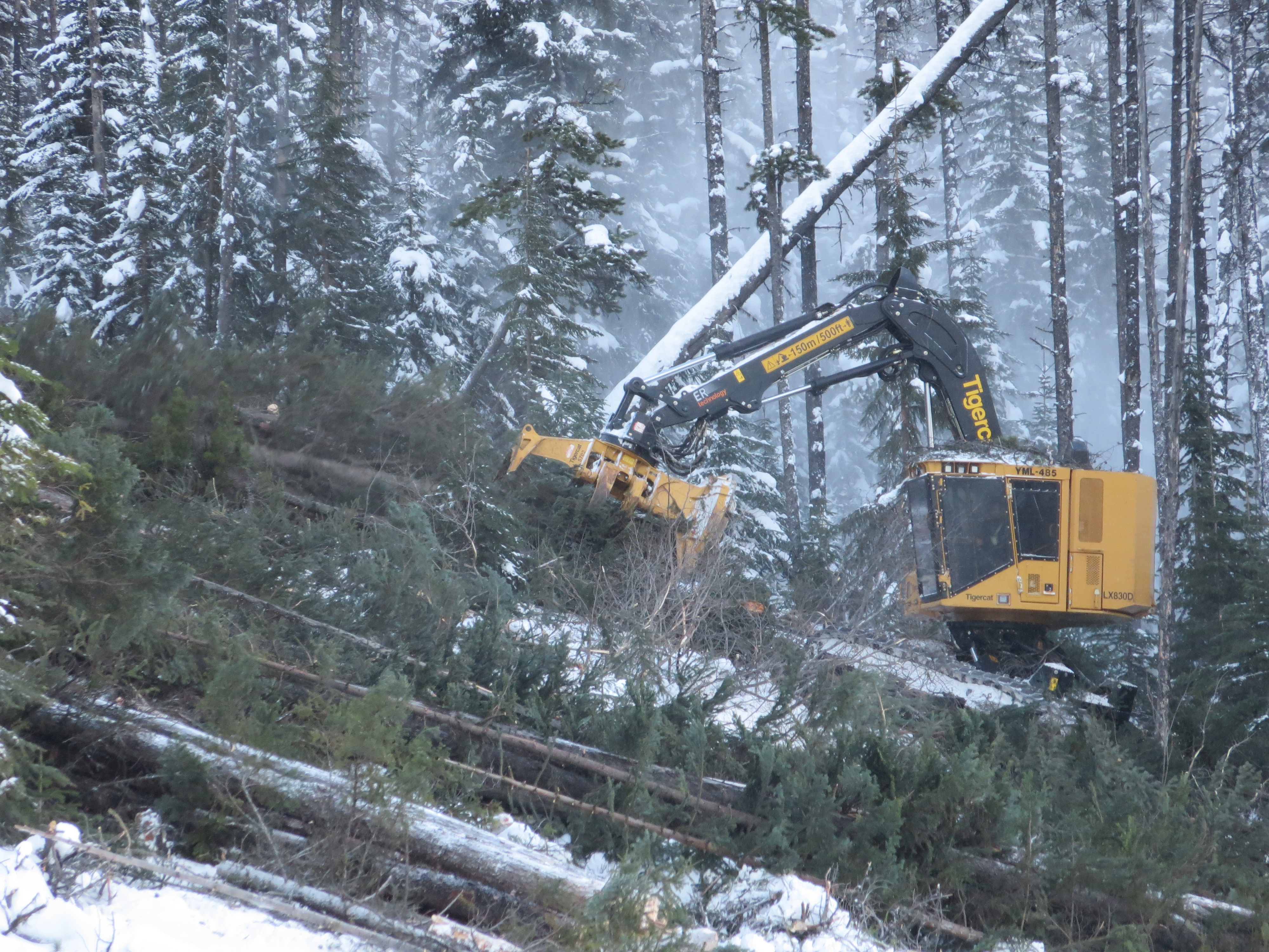 steep logging slope safety buncher