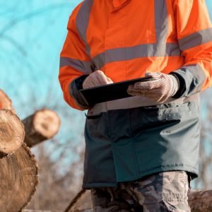 Forestry technician using digital tablet computer in forest for logging data collecting during deforestation