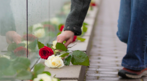 Photo of a hand places roses on a memorial
