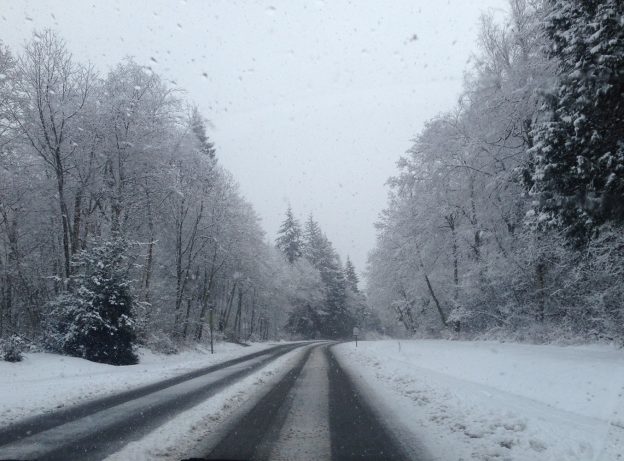 Snowy rural road through trees